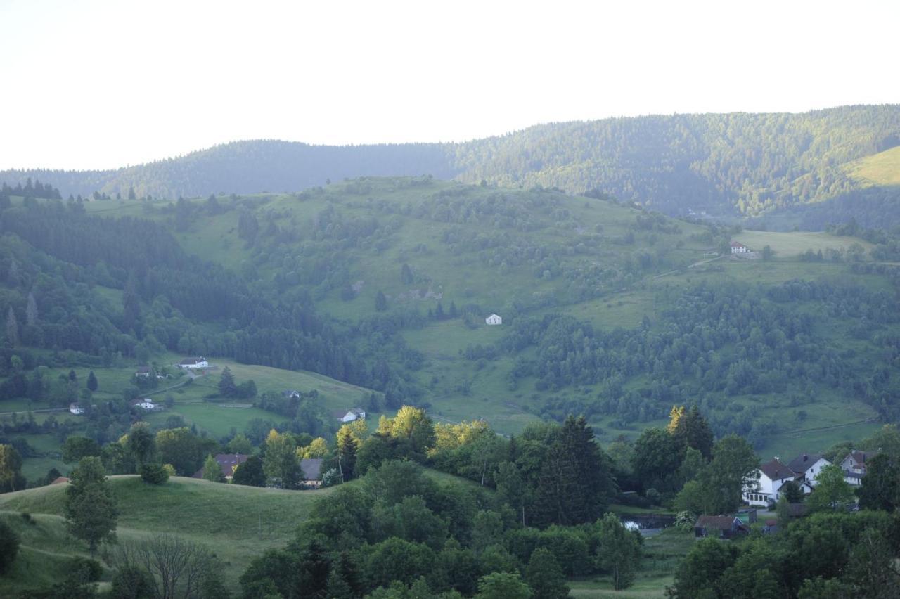 L'Instant Chalet Lodge 17 Gerardmer Exterior photo