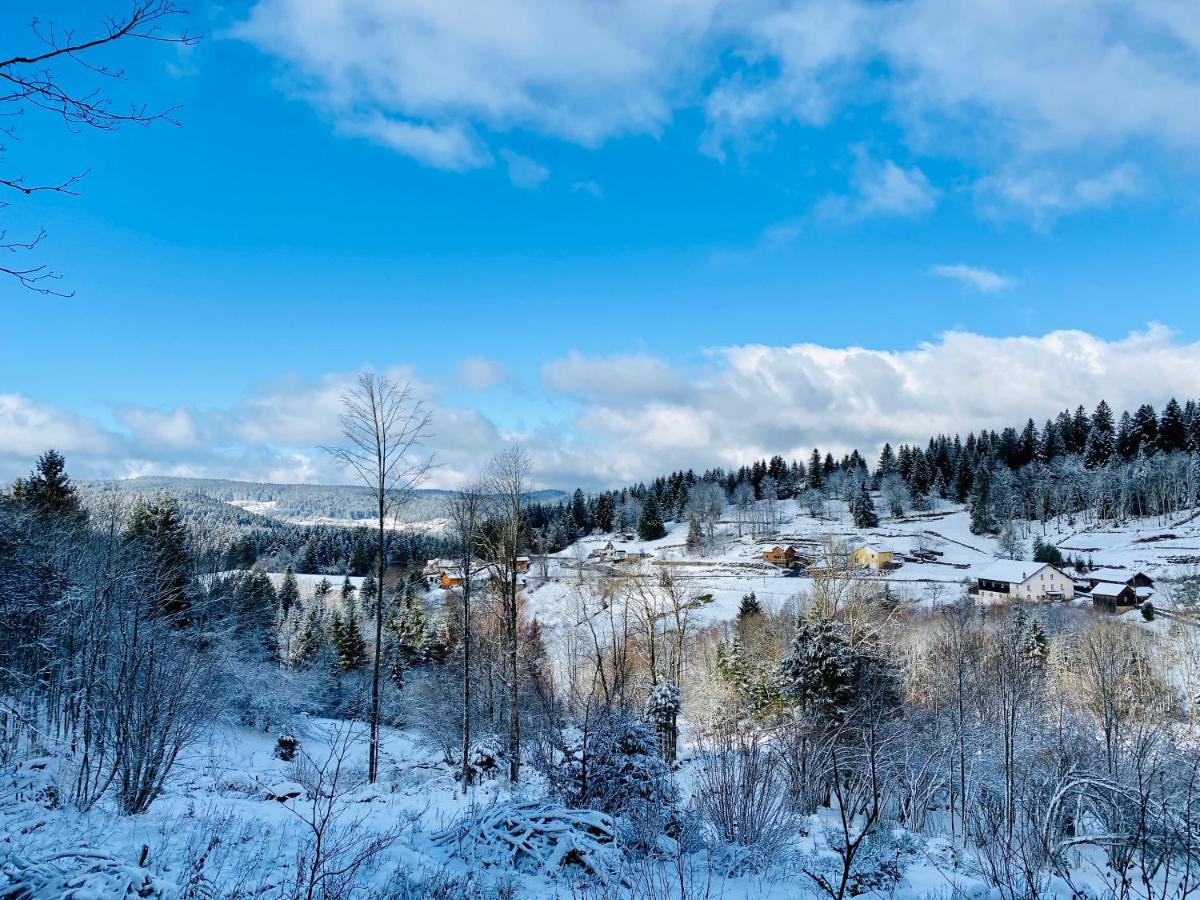 L'Instant Chalet Lodge 17 Gerardmer Exterior photo