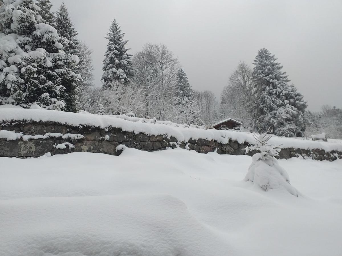 L'Instant Chalet Lodge 17 Gerardmer Exterior photo