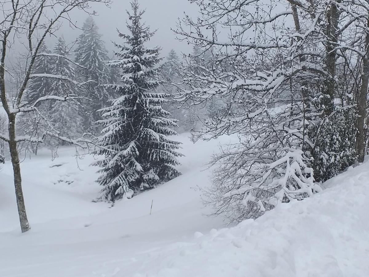 L'Instant Chalet Lodge 17 Gerardmer Exterior photo